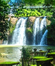 凱恩斯袋鼠谷 & 帕羅尼拉公園天空之城一日遊(中文導覽)