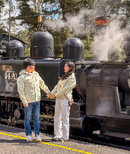普芬比利蒸汽火車、森林步道與雅拉河谷探索之旅