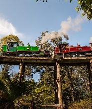 墨爾本彩虹小屋、普芬比利蒸汽小火車與菲利普島企鵝歸巢一日遊