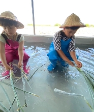 宜蘭｜初咪體驗農場｜DIY創意蔥麵包&蔥勁派（蔥油餅）體驗