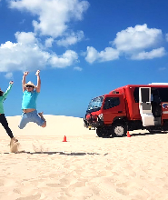 史蒂芬斯港冒險之旅：海豚遊船 & 沙丘體驗