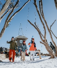 布勒山墨爾本雪地接送私人旅遊