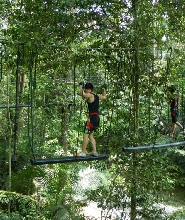 蘭卡威SKYTREX探險樂園