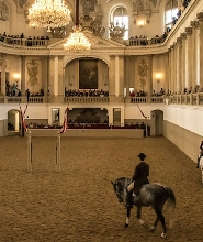維也納西班牙騎術學校馬術訓練課程