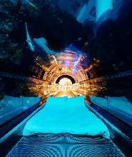 夜宿海生館體驗