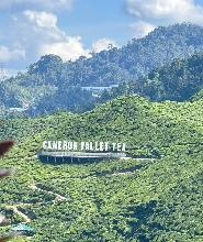 金馬崙高原導覽一日遊（含午餐，湊團）