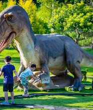 九九峰動物樂園門票