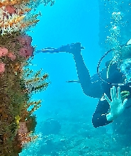 巴瑟爾頓棧橋和水下雕塑水肺潛水體驗