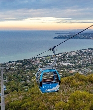莫寧頓半島私人一日遊
