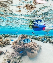 東姑阿都拉曼國家公園浮潛導覽體驗