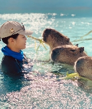 墾丁鹿ㄦ島水豚生態園區門票