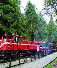 三天兩夜日月潭、阿裏山觀光｜臺北出發