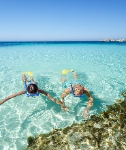 羅特尼斯島渡輪＆自行車＆浮潛之旅（費裏曼圖／伯斯出發）