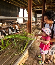 宜蘭可達休閒羊場門票
