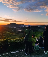 苔蘚森林日出登山健行之旅