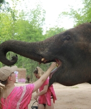 清邁Kerchor Elephant Eco Park & Zipline 一日遊
