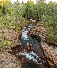李治菲特瀑布和溼地野生動物之旅