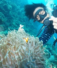 皮皮島PADI潛水課程