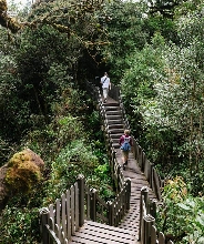 金馬侖高原 & 苔蘚森林半日遊