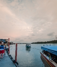 瓜拉雪蘭莪螢火蟲之旅：藍色螢光及海鮮晚餐