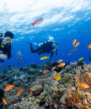 墾丁體驗潛水／旅遊潛水／潛水課程