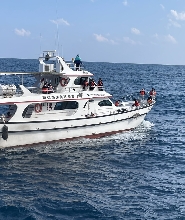 花蓮賞鯨｜華維賞鯨｜賞鯨導覽體驗