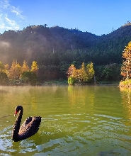 明池森林遊樂區門票