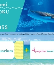 沖繩美麗海水族館套票