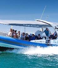 海豹島冒險一日遊