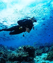 富國島南部水肺潛水體驗