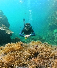 富國島專業探索水肺潛水