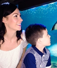 布蘭肯貝爾格海洋生物館 (Sea Life Blankenberge) 門票