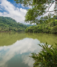 活泉足體養身世界＆慈湖＆大溪老茶廠一日遊