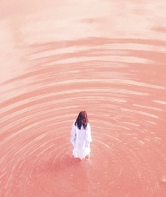 4天3晚粉紅湖 & 羅特內斯特島之旅