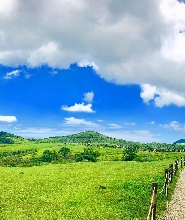 陽明山竹子湖 & 北投地熱谷 & 擎天崗 & 野柳一日遊