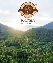 怡保沉香茶谷一日遊