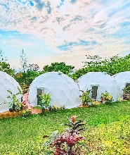 屏東露營｜阿信巧克力農場｜星空露營 (免搭帳露營體驗)