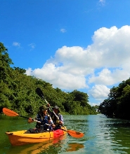 紅樹林獨木舟體驗