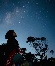 藍山日落觀星之旅與費瑟代爾野生動物園