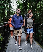 上午半天丹翠雨林之旅