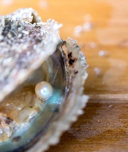 香港西貢海上珍珠工作坊