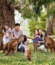 阿得雷德出發克萊蘭野生動物園自助遊