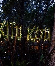 普林塞薩港賞螢火蟲之旅