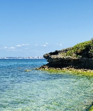 沖繩美麗海水族館高速巴士往返車票