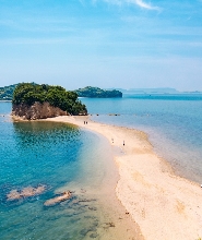 高松港 - 池田港小豆島渡輪票