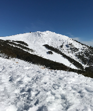 墨爾本布勒山之旅