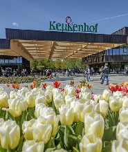 阿姆斯特丹出發|庫肯霍夫+鄉村+風車遊船之旅