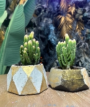 香港水泥藝術工作坊 (共兩節)｜中環及銅鑼灣可用