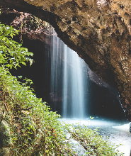 春溪國家公園和坦伯林雨林之旅