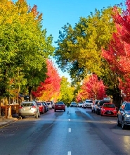 阿德萊德市區及漢多夫一日遊